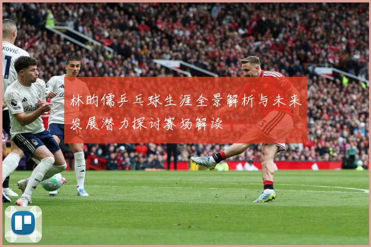 林昀儒乒乓球生涯全景解析与未来发展潜力探讨赛场解读
