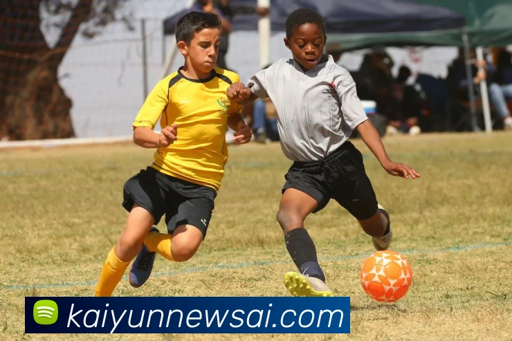 开云平台展示图